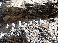Dinosaur national park (3).JPG